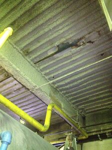 cellulose insulation plymouth